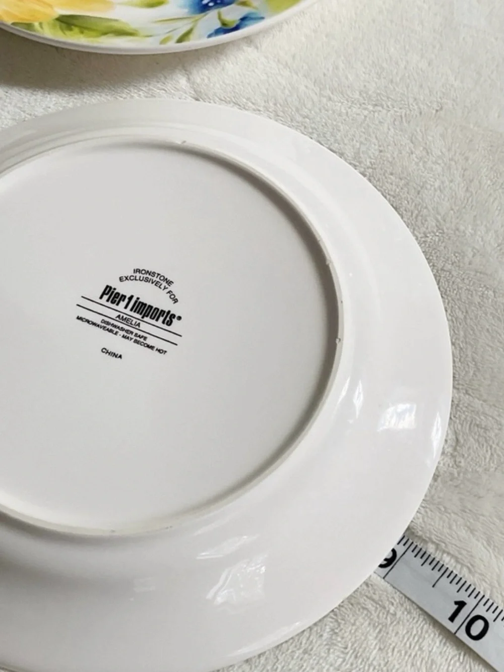 Pier 1 Amelia Set of 2 Salad Plates 8.75” Ironstone Floral Garden Dinnerware